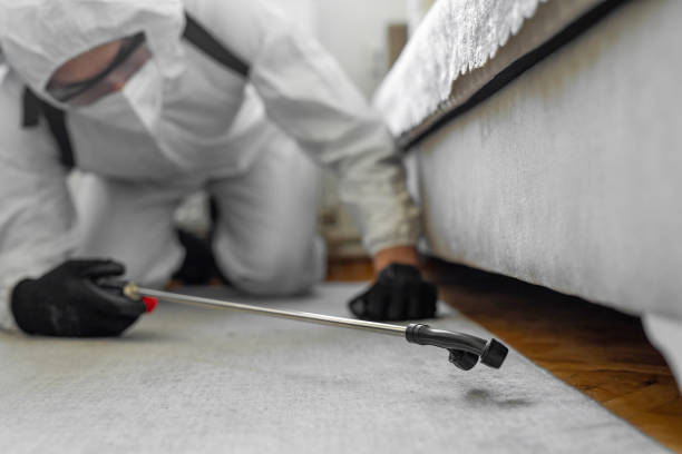 Professional Cockroach Control technician working in St. Marys, OH