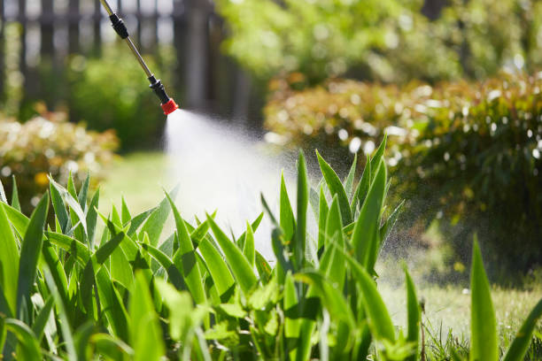 24/7 Emergency Cockroach Control experts in St. Marys, OH