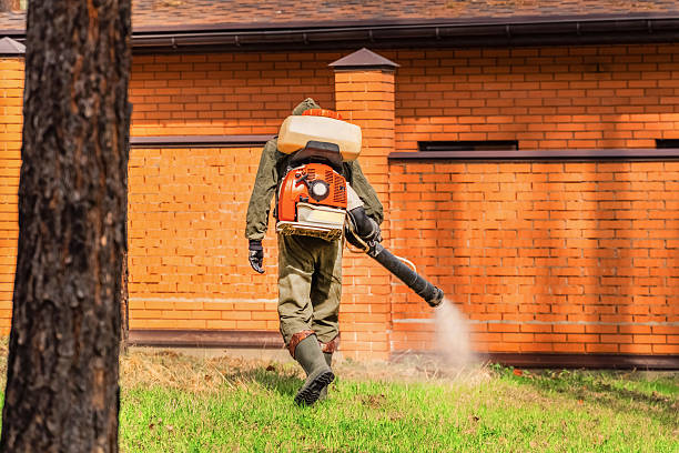 Top rated local Cockroach Control specialists in St. Marys, OH